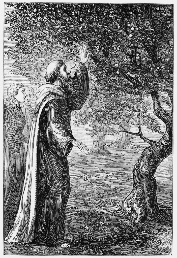 Detail of Illustration of Saint Columba Blessing the Apples by Anonymous