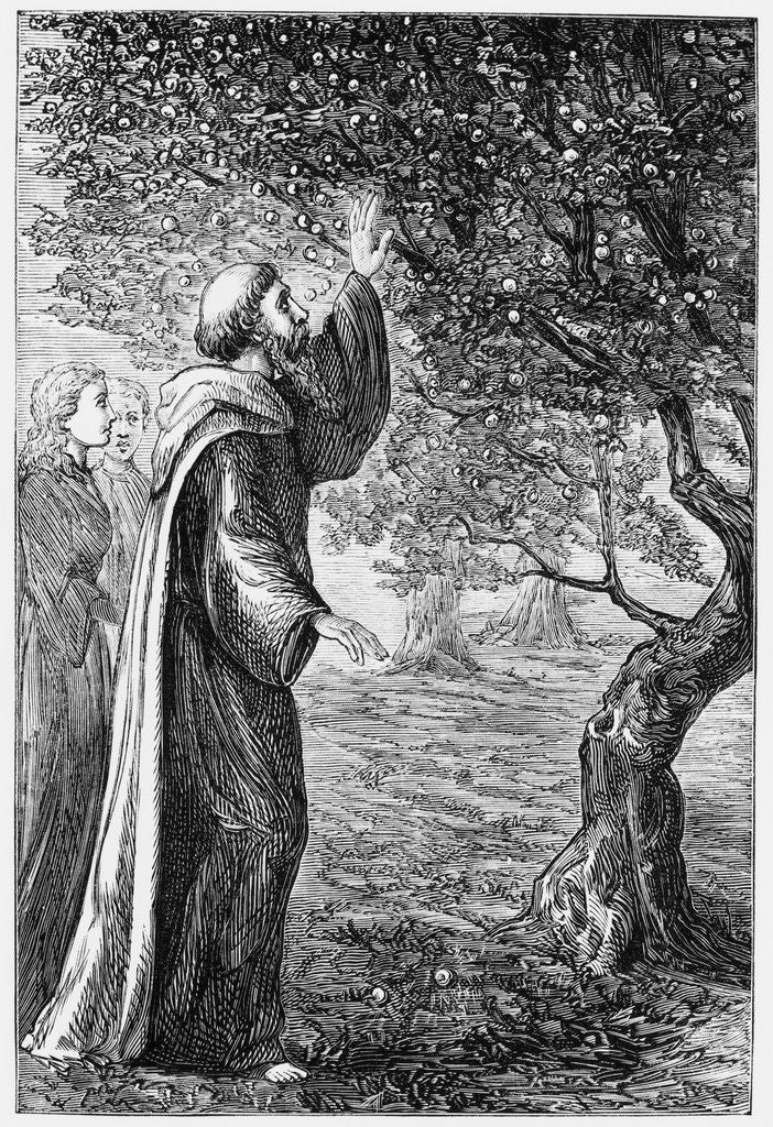Detail of Illustration of Saint Columba Blessing the Apples by Corbis
