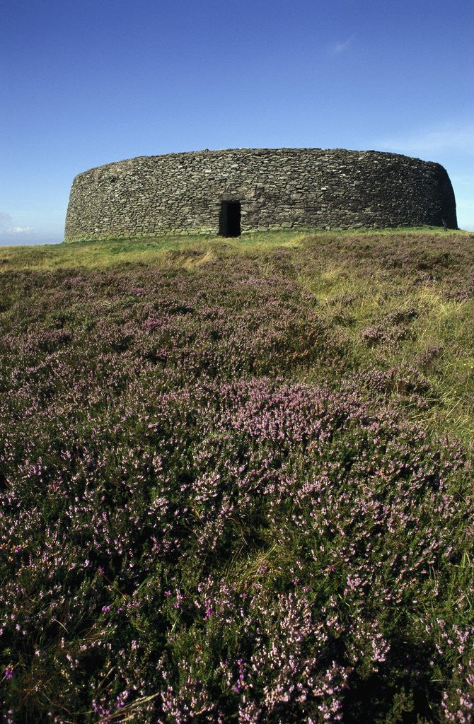 Detail of Grianan of Aileach by Anonymous