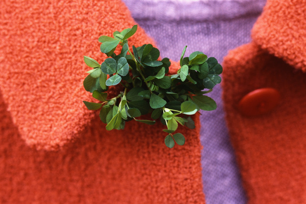 Detail of Shamrock Worn on St. Patrick's Day by Anonymous