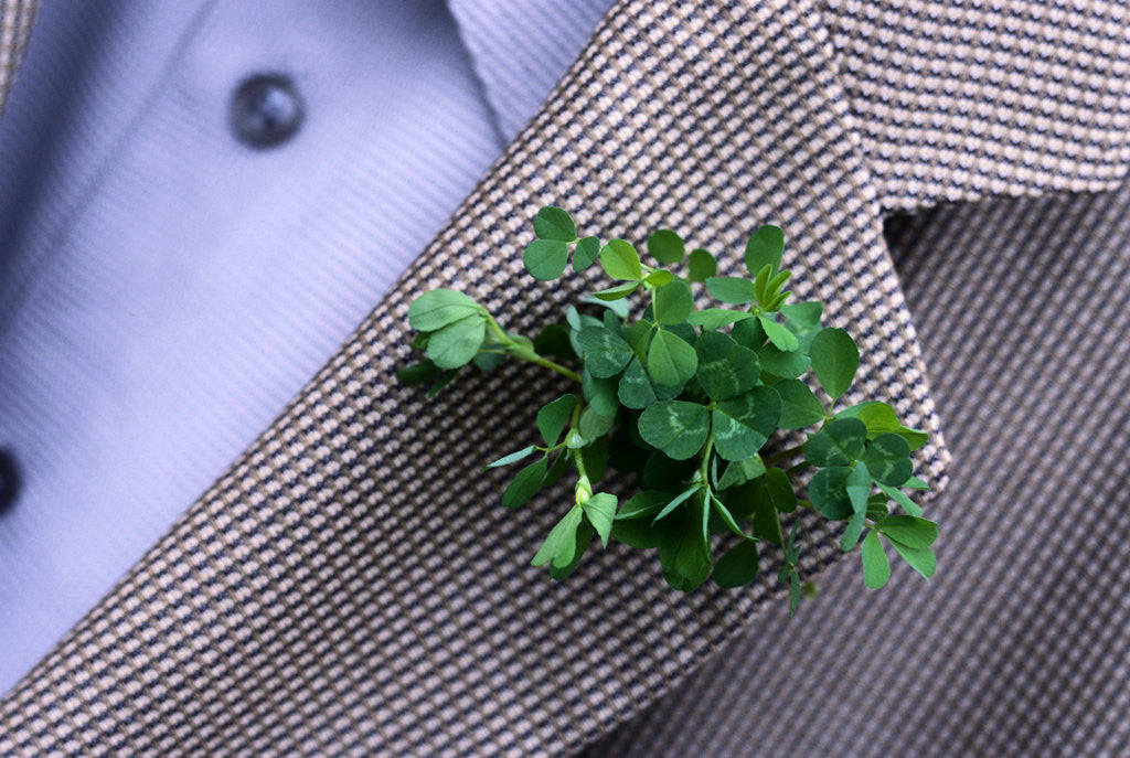 Detail of Shamrock Worn on St. Patrick's Day by Anonymous
