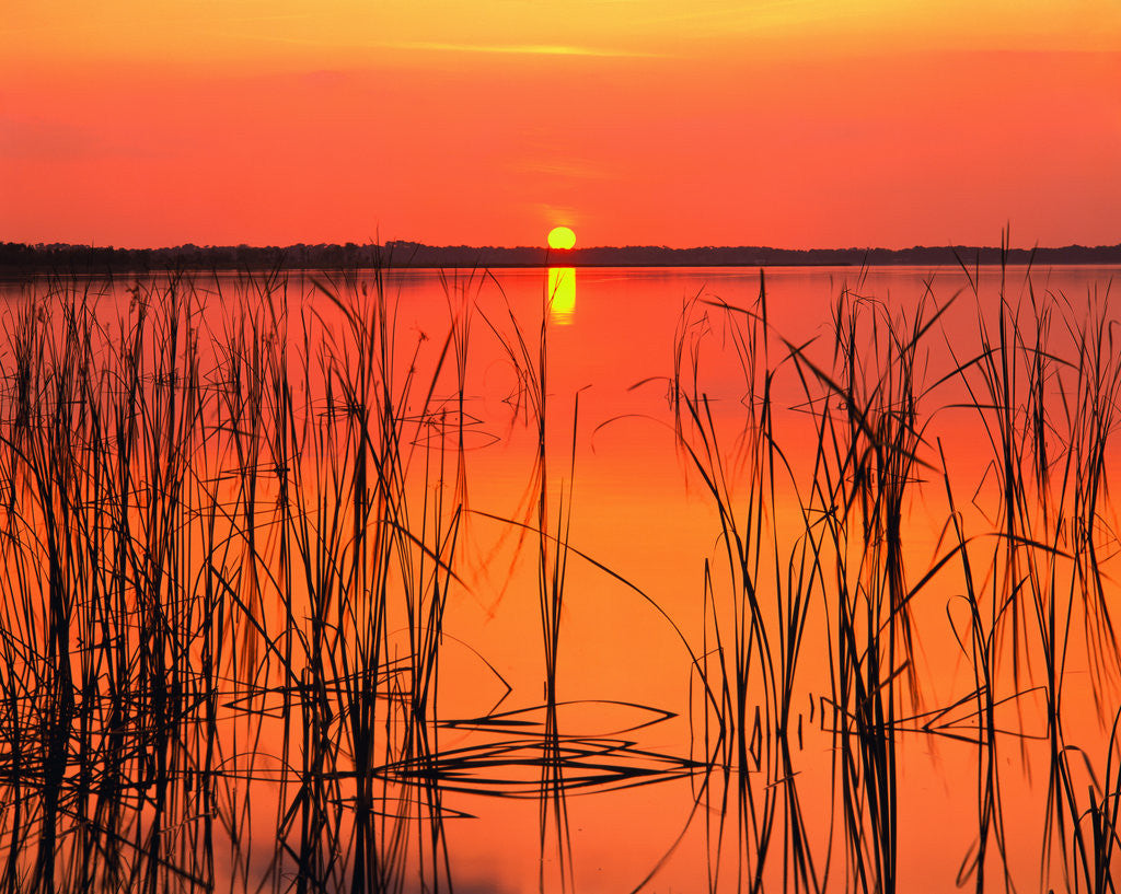 Detail of Sunset Over Lake Hamilton by Anonymous