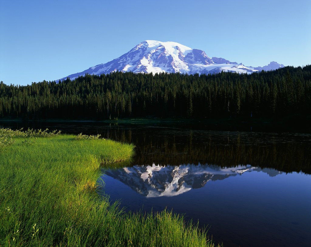 Detail of Mt. Rainier by Anonymous
