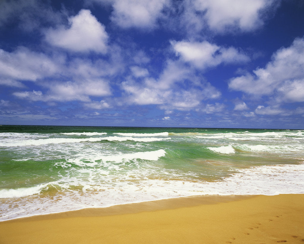 Detail of Beach at Hanalei Bay by Anonymous