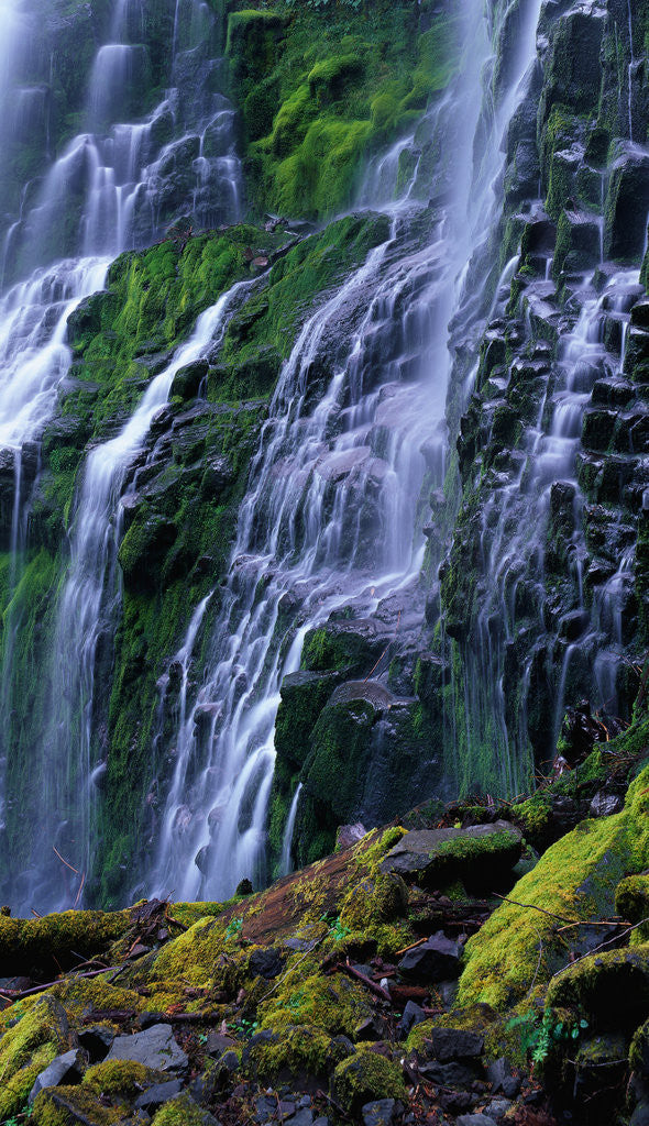 Detail of Proxy Falls by Anonymous