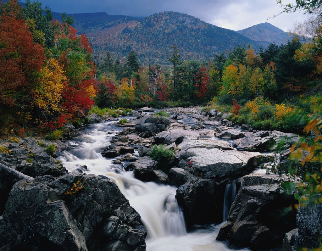 Detail of Cascades on Ausable River by Corbis