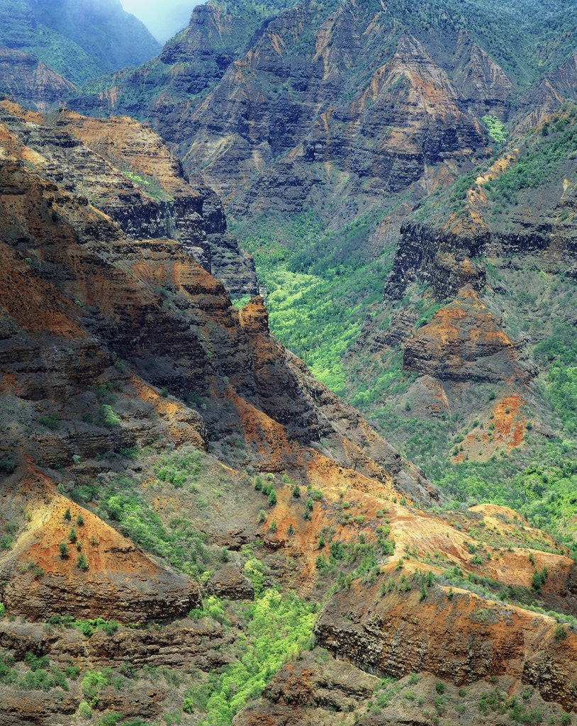 Detail of Waimea Canyon by Anonymous