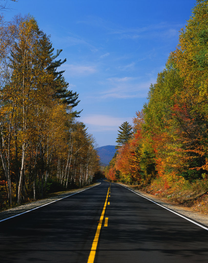 Detail of Kancamagus Highway in Autumn by Corbis