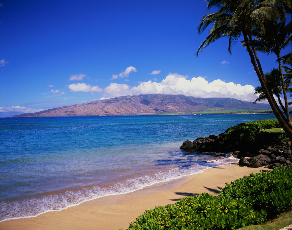 Detail of Kihei Beach and West Maui Mountains by Anonymous