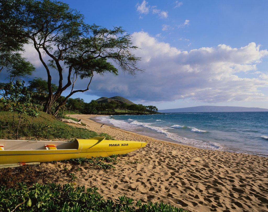 Detail of Canoe on Wailea Beach by Anonymous
