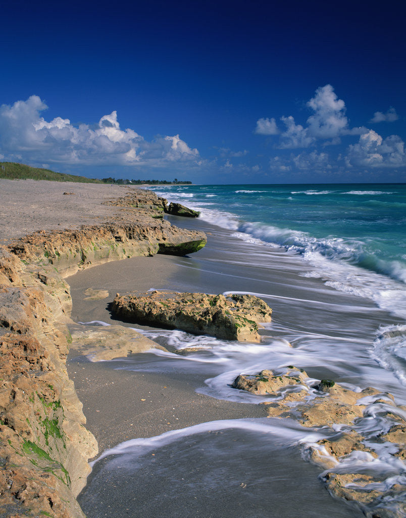 Detail of Beach on Jupiter Island by Anonymous