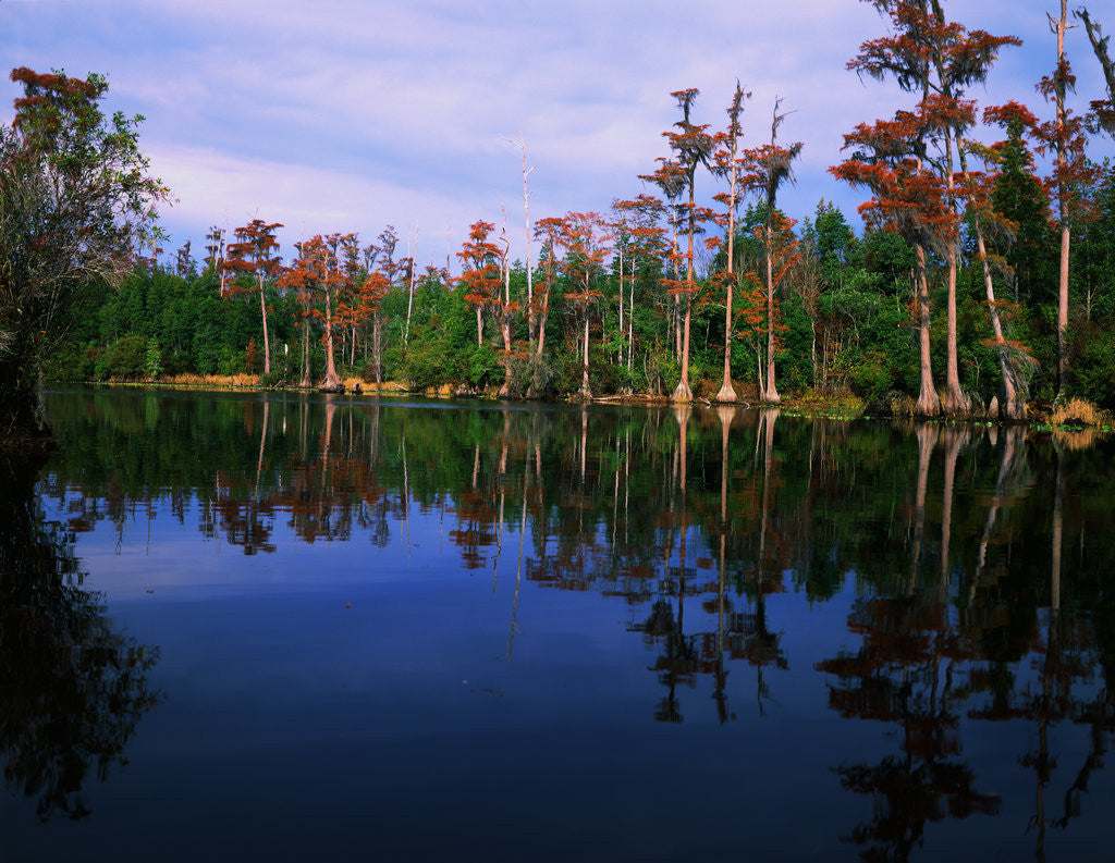 Detail of Billy's Lake by Anonymous