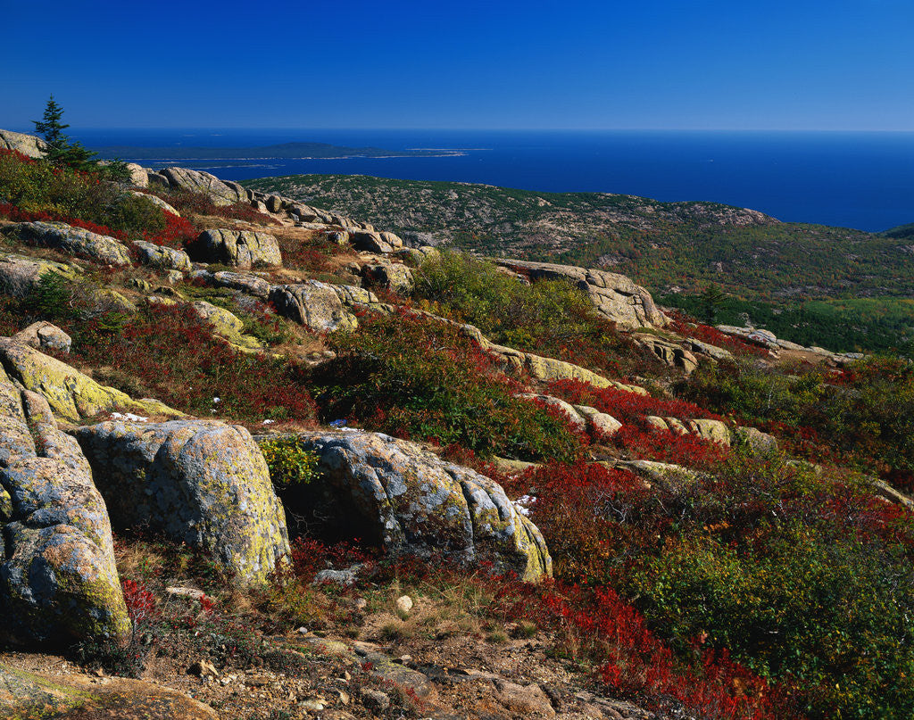 Detail of Granite Outcrops on Cadillac Mountain by Anonymous