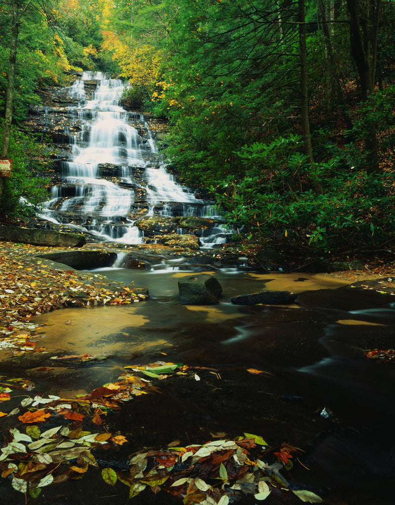 Detail of Minnehaha Falls by Anonymous