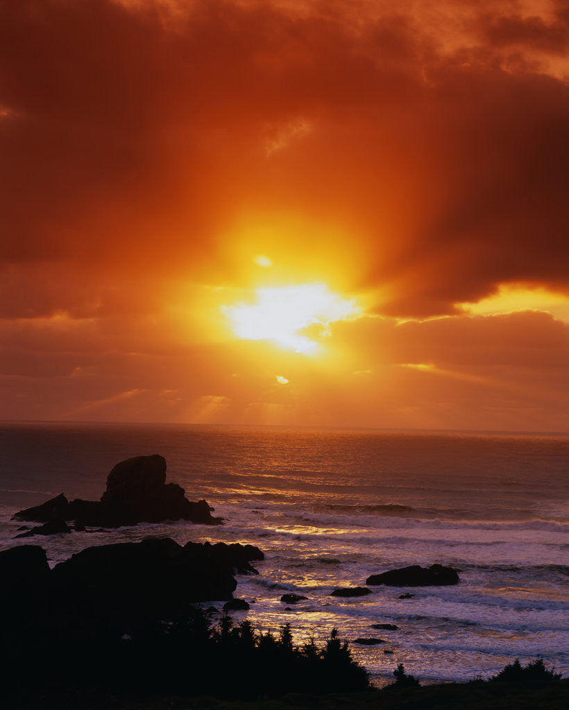 Detail of Sunset over the Pacific by Anonymous