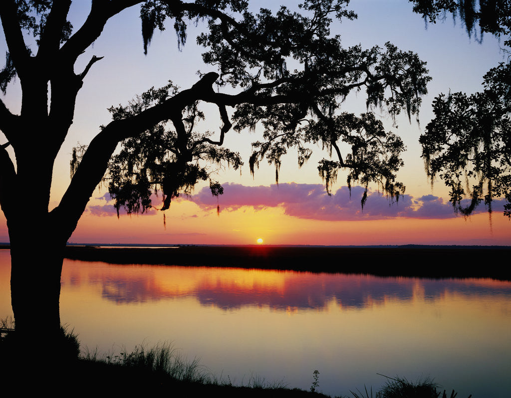 Detail of Sun Setting over Brickhill River by Anonymous