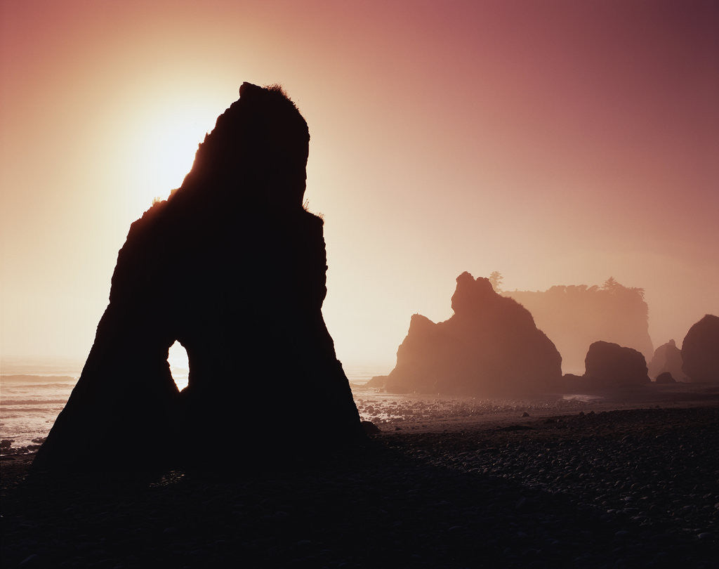 Detail of Sea Stacks in Fog Along Ruby Beach by Anonymous