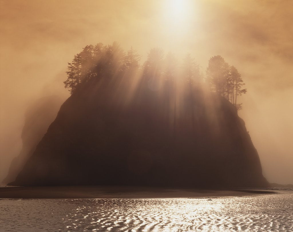 Detail of Sun Beams Breaking through Fog over Sea Stack by Anonymous