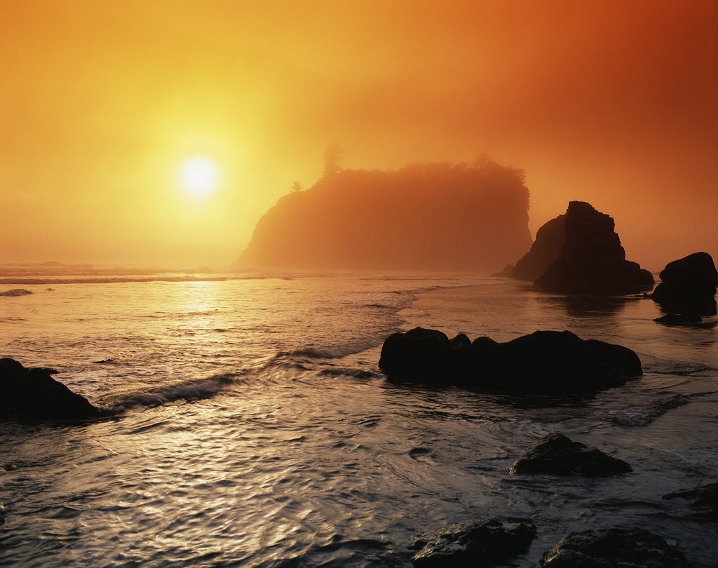 Detail of Foggy Sunset at Ruby Beach by Anonymous
