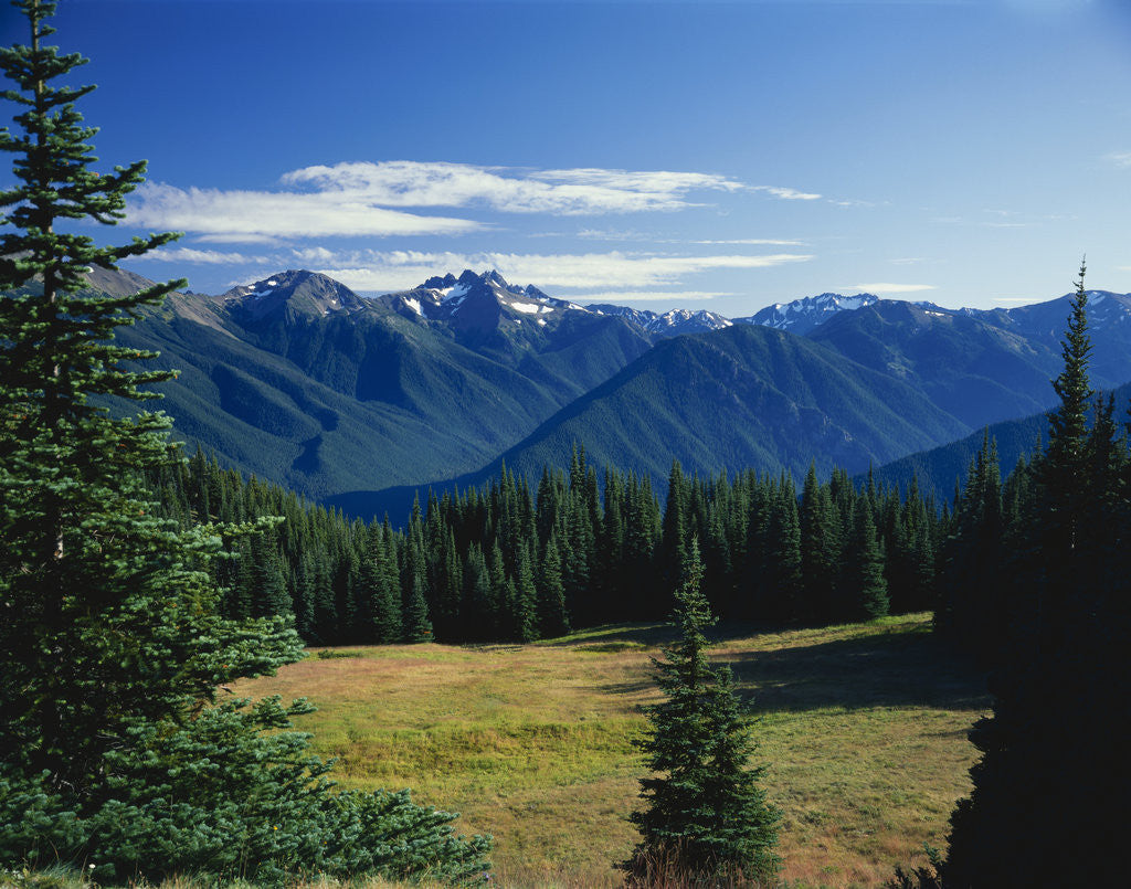 Detail of Gray Wolf Ridge by Anonymous