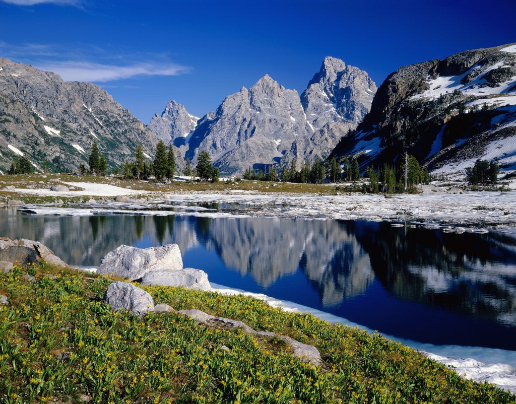 Detail of Grand Teton Behind Lake Solitude by Anonymous