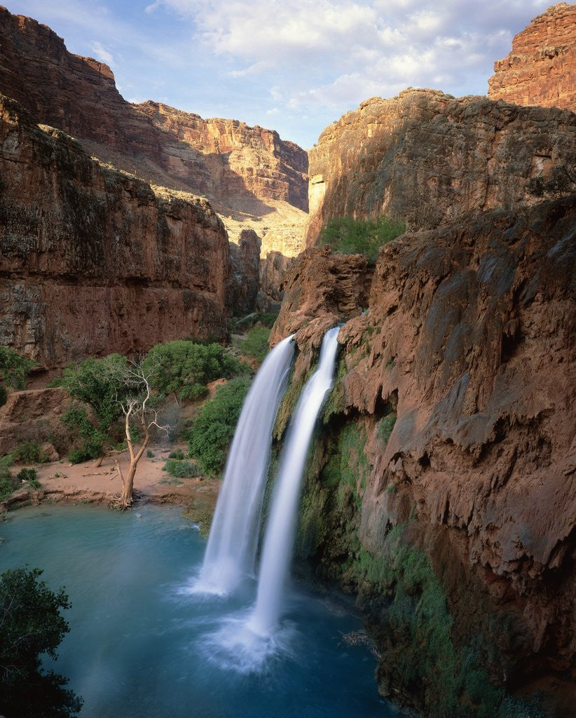 Detail of Havasu Falls by Anonymous