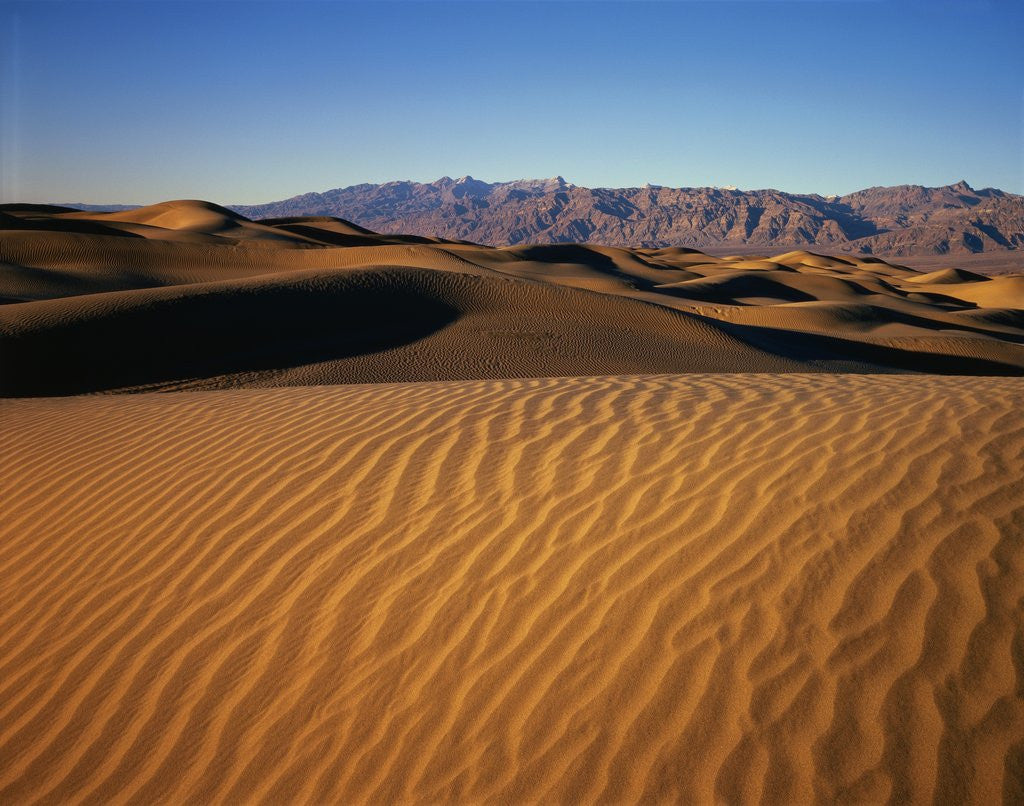 Detail of Death Valley Sand Dunes by Anonymous