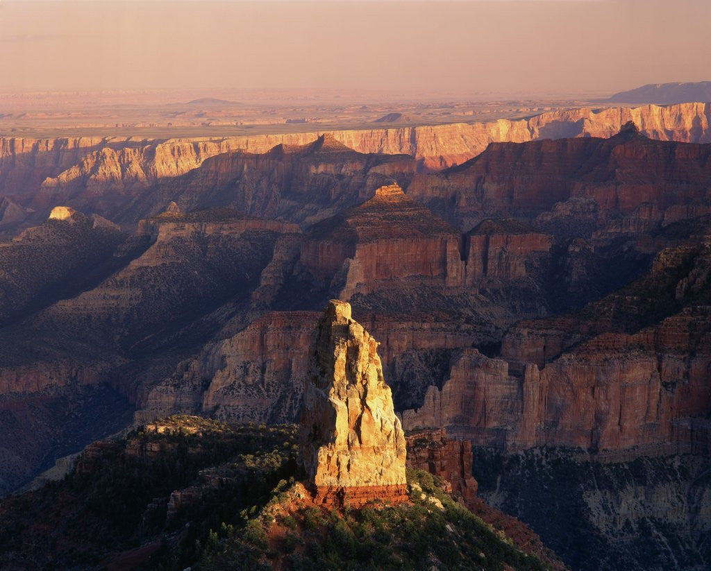 Detail of Grand Canyon National Park by Anonymous