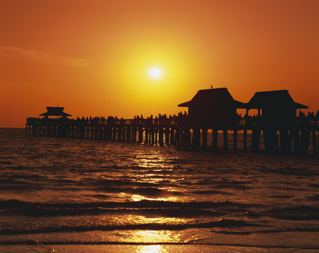 Detail of Sun Setting Above Naples Pier by Anonymous