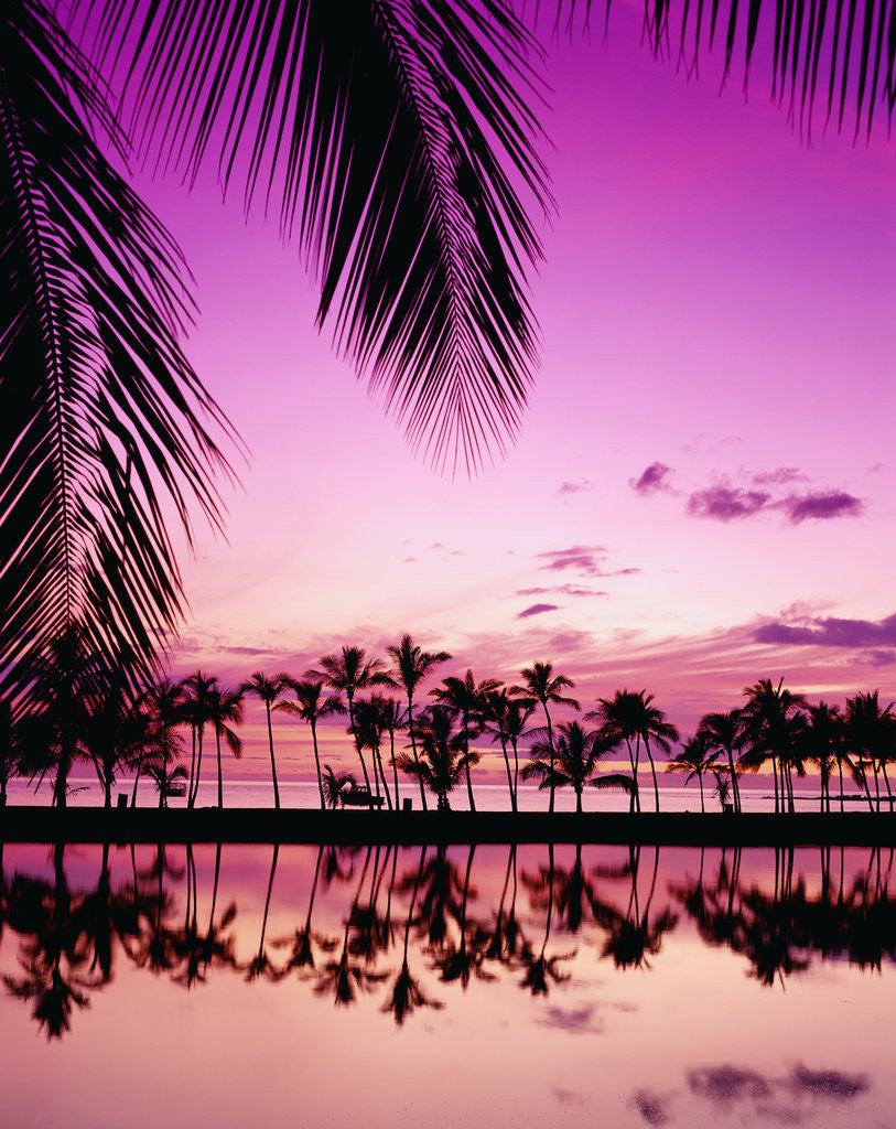 Detail of Sunset at Anaehoomalu Bay by Anonymous