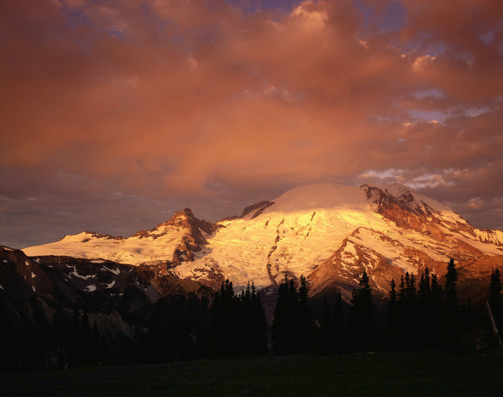 Detail of Sunrise on Mount Rainier by Anonymous