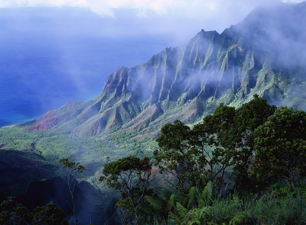 Detail of Light Fog in Kalalau Valley by Anonymous