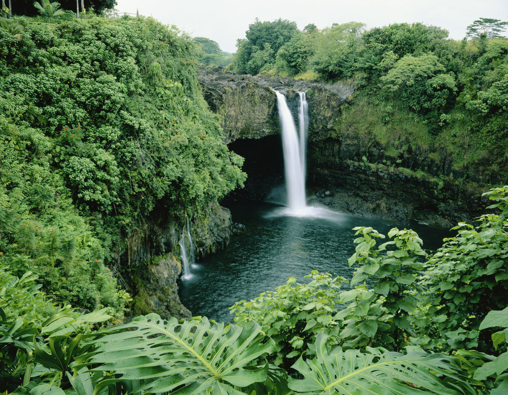 Detail of Wailuku River's Rainbow Falls by Anonymous