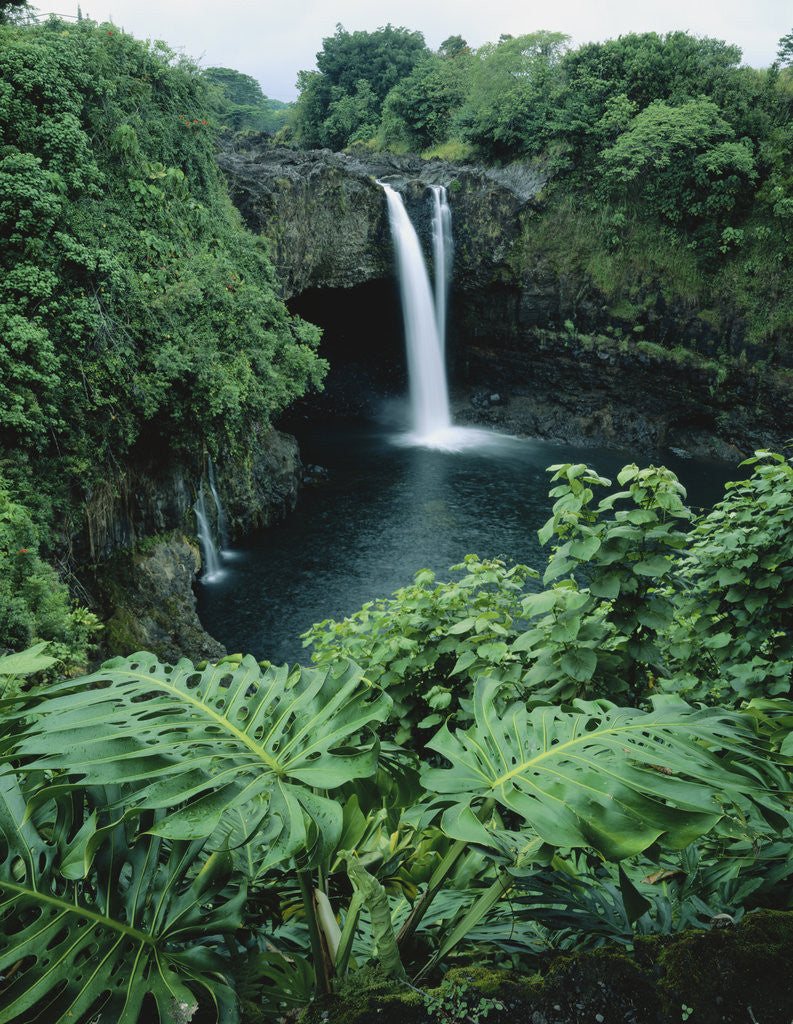 Detail of Wailuku River's Rainbow Falls by Anonymous