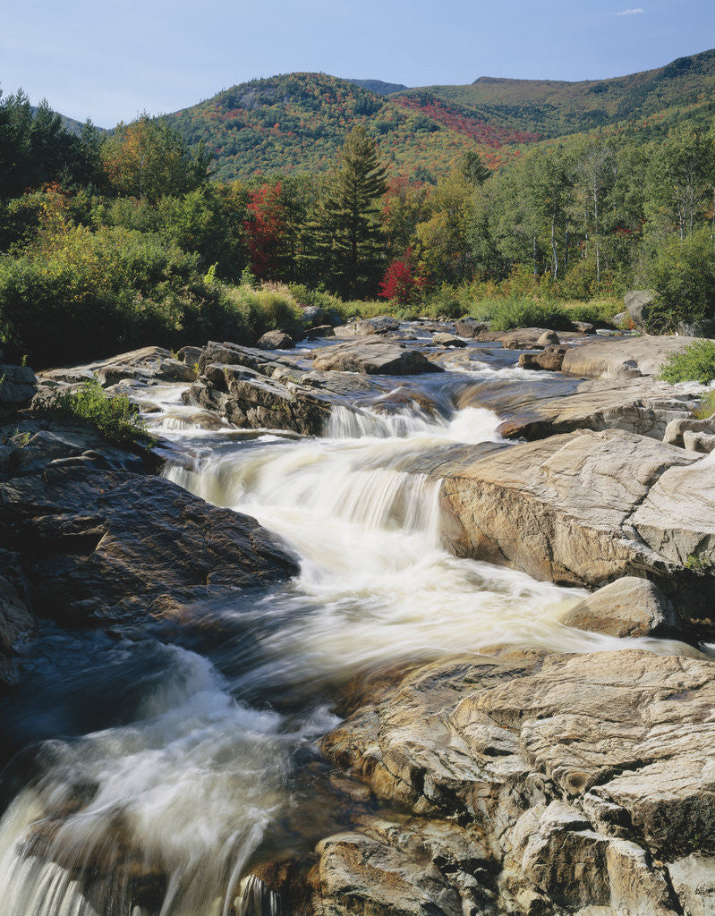 Detail of Ausable River Rapids by Anonymous