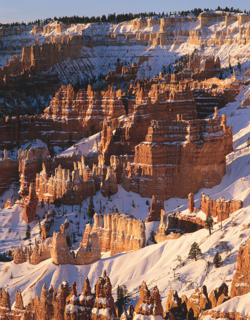 Detail of Bryce Canyon Amphitheater by Anonymous