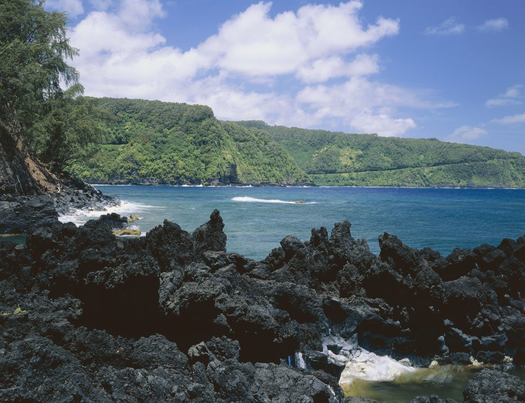 Detail of Lava Rock Along Keanae Peninsula by Anonymous