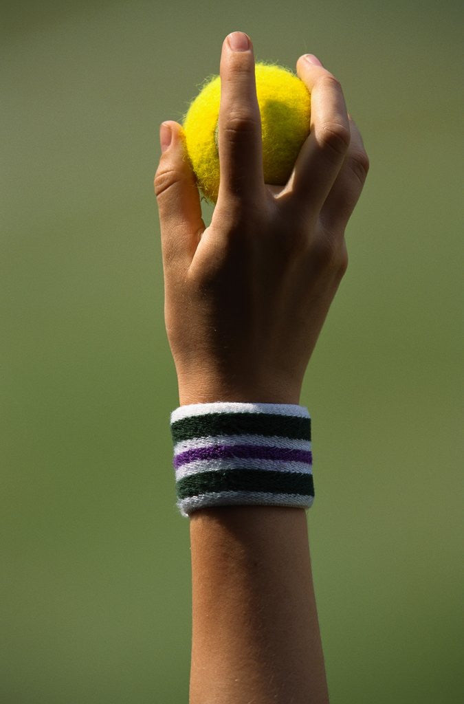 Detail of Hand of a Wimbledon Ball Boy Holding a Tennis Ball by Anonymous