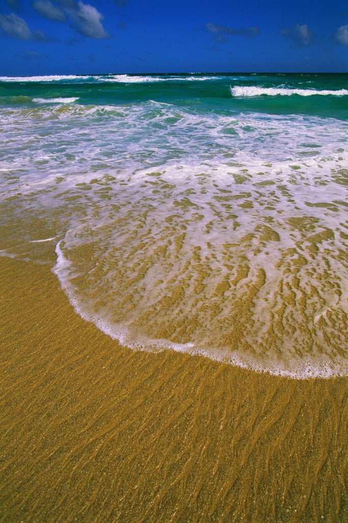Detail of Kangaroo Island Surf by Anonymous