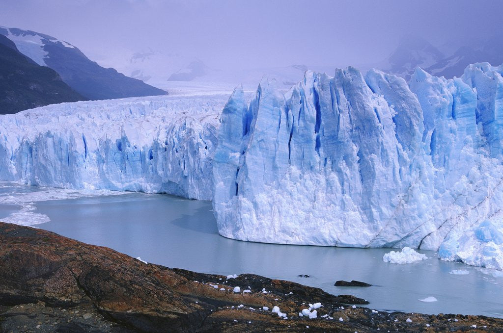 Detail of Moreno Glacier and Lago Argentino by Anonymous