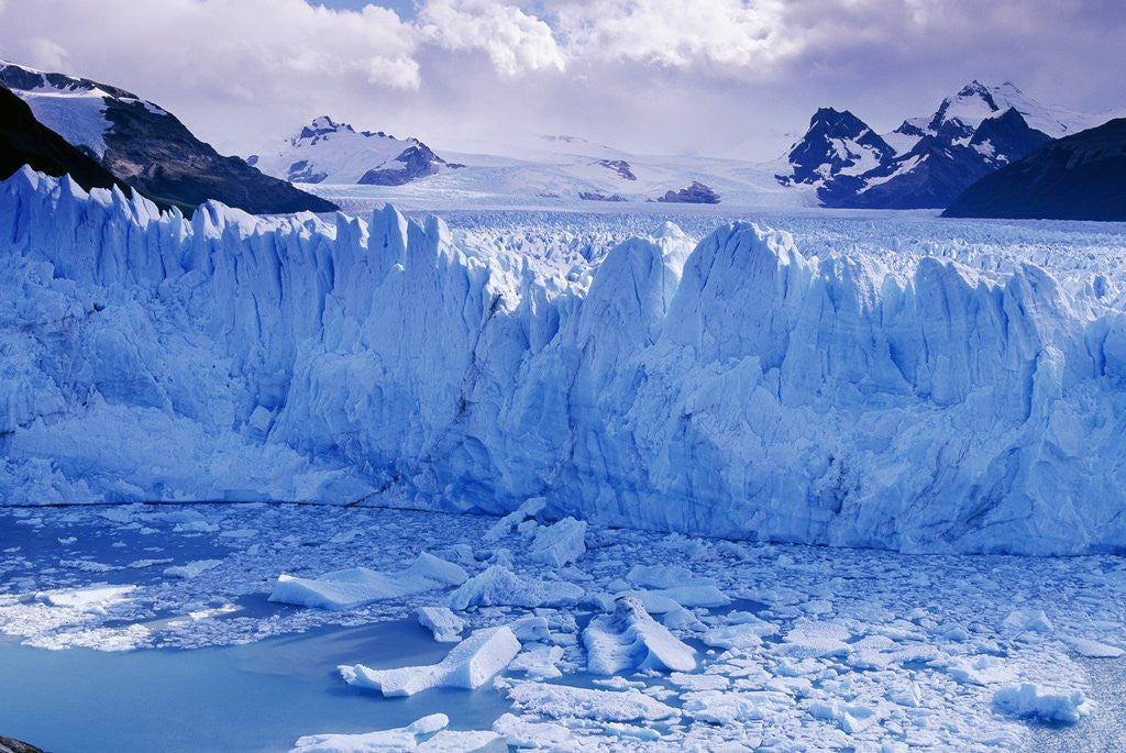 Detail of Moreno Glacier and Lago Argentino by Anonymous