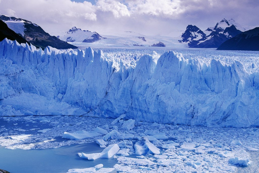 Detail of Moreno Glacier and Lago Argentino by Corbis