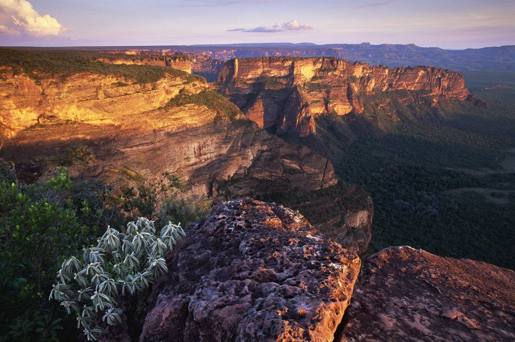 Detail of Sandstone Cliffs at Sunset by Anonymous
