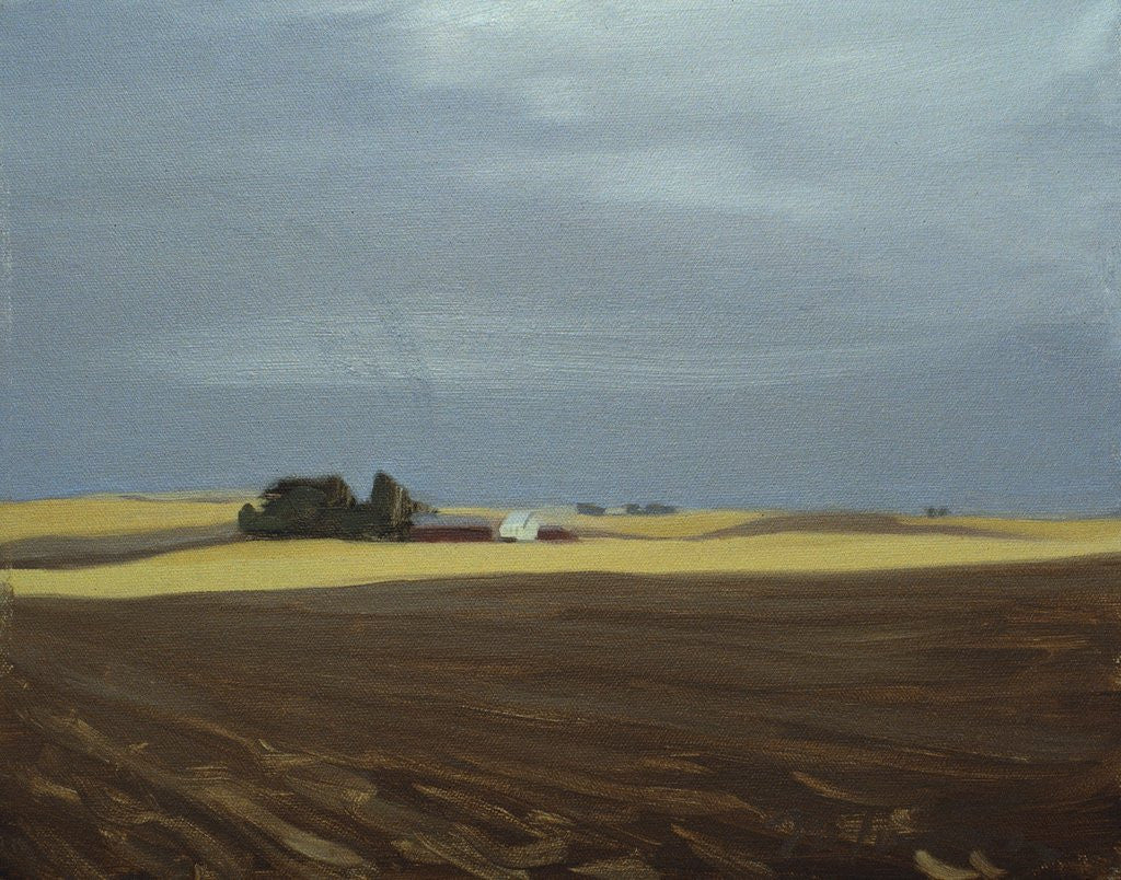 Detail of Fields, Moses Lake by Mary Iverson