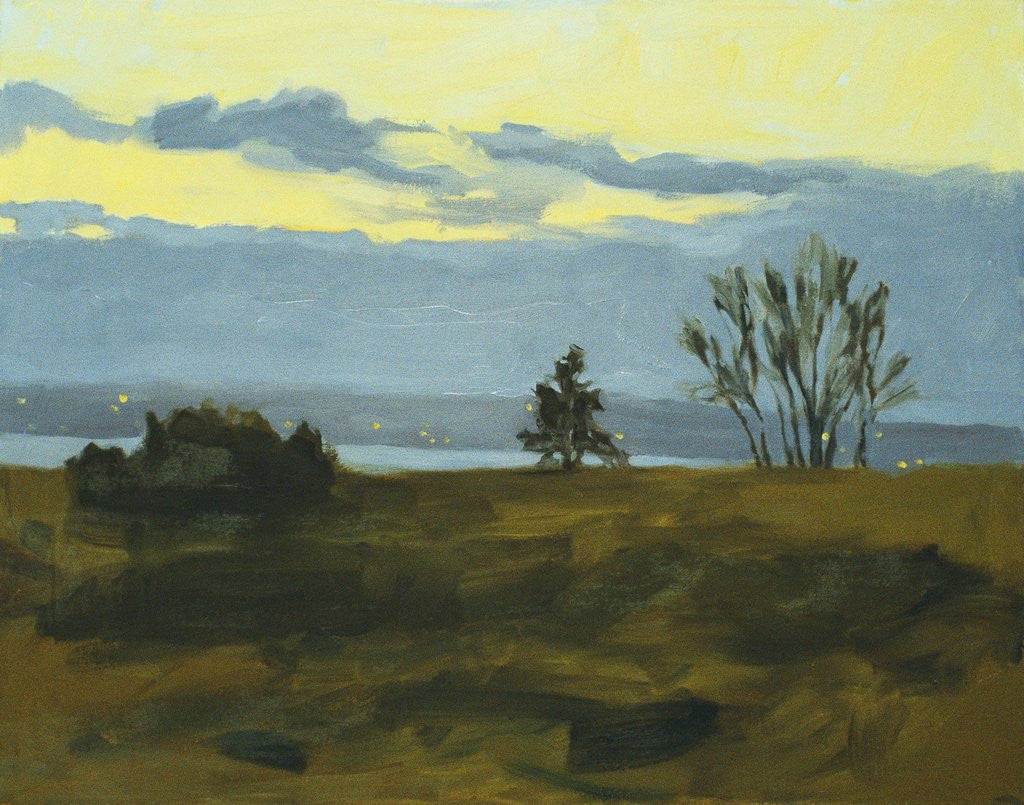 Detail of Discovery Park Evening by Mary Iverson
