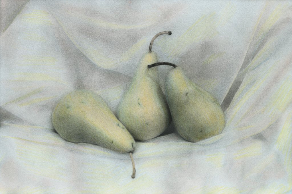 Detail of Pear Study #1731 by Kim Koza