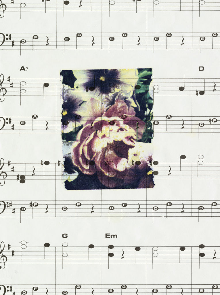 Detail of Flowers and Music by Kim Koza