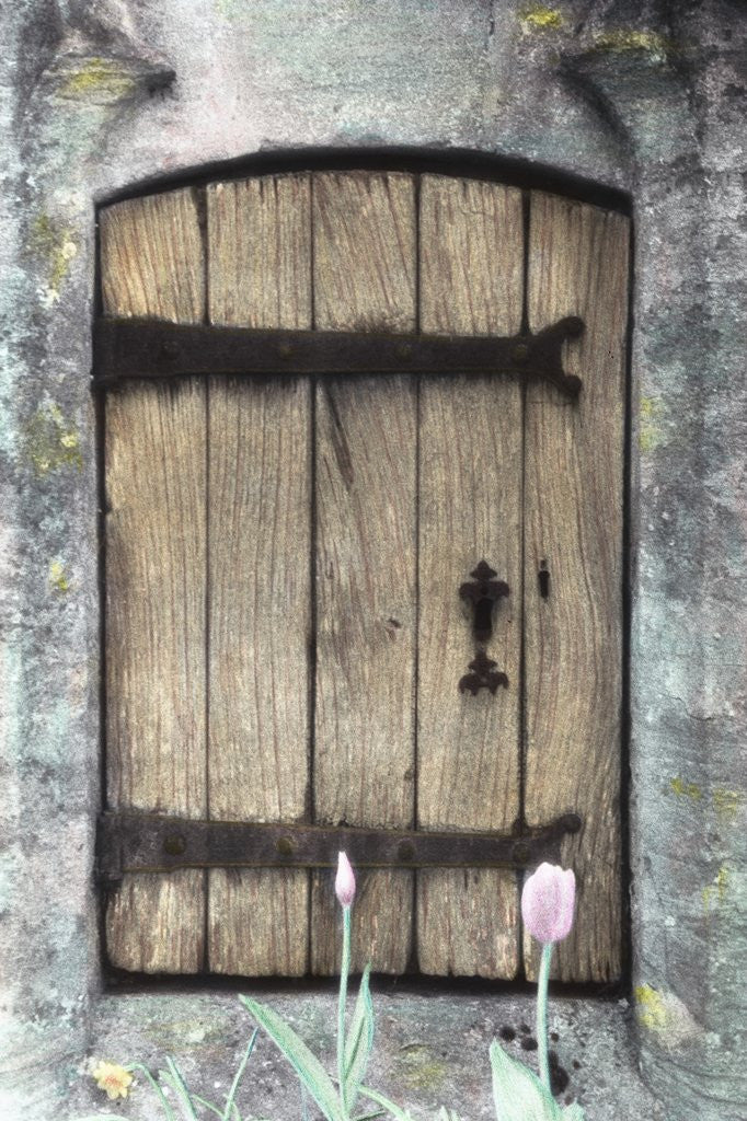 Detail of H.C. Cotswald Door and Tulips by Kim Koza
