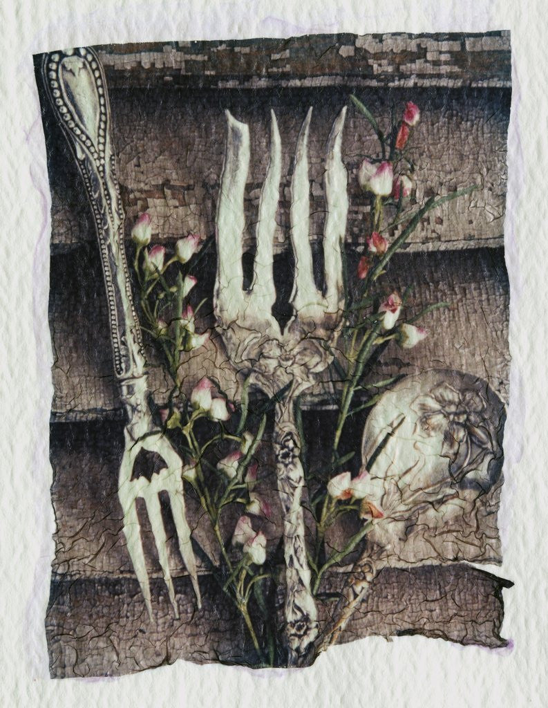 Detail of Shutter and Silverware by Kim Koza