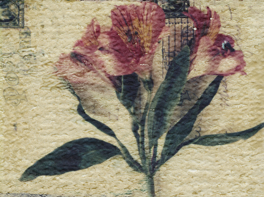 Detail of Stamp and Flower by Kim Koza